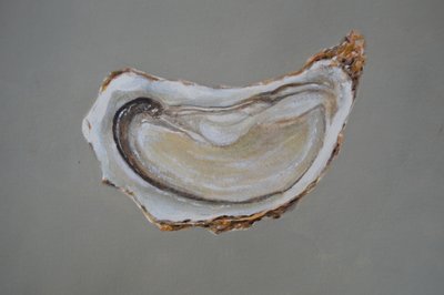 Breton Oyster 1 by Lincoln Seligman